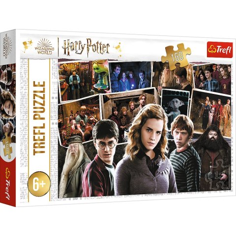 Puzzle - 160 - Harry Potter i przyjaciele - Trefl 15418