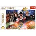 Puzzle - 300 - Harry Potter - Tajemniczy Harry Potter - Trefl 23001