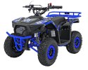 Pojazd Quad Spalinowy 49CC SIRIUS Niebieski