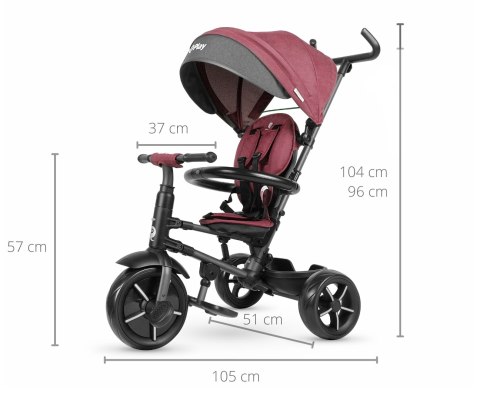 MILLY MALLY 5394 Qplay Rowerek trójkołowy Rito Star Purple