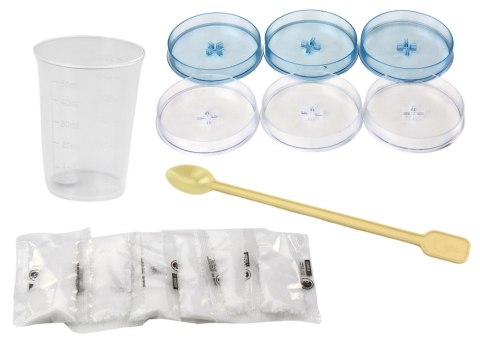 Zestaw Edukacyjny Doświadczenie Hodowla Kryształów Drzewka