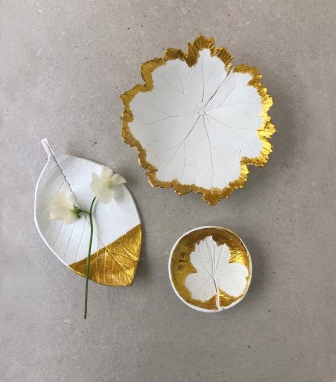 Duży zestaw do modelowania DARWI