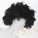 PERUKA WŁOSY CZARNE AFRO KARNAWAŁ PARTY FOTOBUDKA PANIEŃSKI URODZINY
