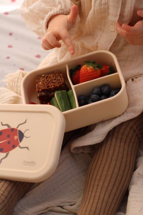 Lunchbox pojemnik silikonowy Ladybug 700 ml