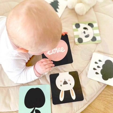 CLASSIC WORLD CW10027 Pastelowy Zestaw dla Niemowląt Box Pierwsze Zabawki od 0 - 6 miesięcy