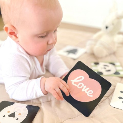 CLASSIC WORLD CW10027 Pastelowy Zestaw dla Niemowląt Box Pierwsze Zabawki od 0 - 6 miesięcy