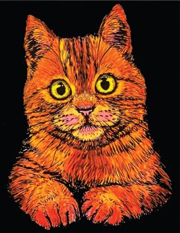 Kolorowanka Welw. 47x35 Kot Domowy