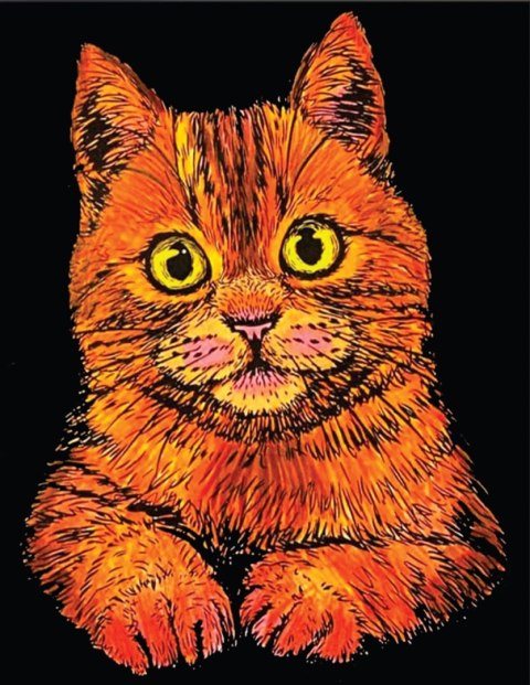 Kolorowanka Welw. 47x35 Kot Domowy