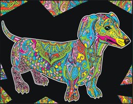 Kolorowanka Welwetowa 47x35 Jamnik