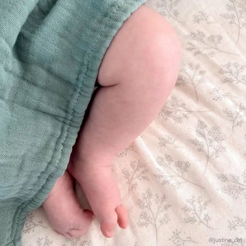 Charlie Crane Pokrowiec na materac do przewijaka NOGA/PAGO i 2 pieluszki Pearl Blossom/Lichen