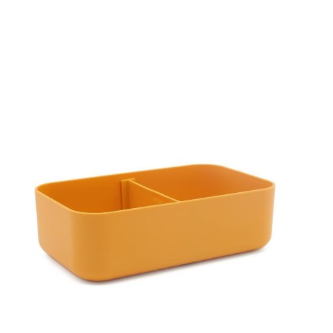 Plastikowy lunchbox pojemnik z rPET Lew SASSI