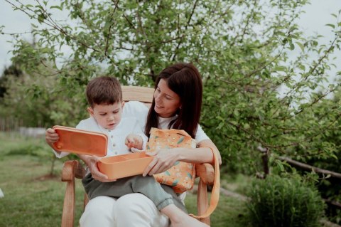 Plastikowy lunchbox pojemnik z rPET Lew SASSI