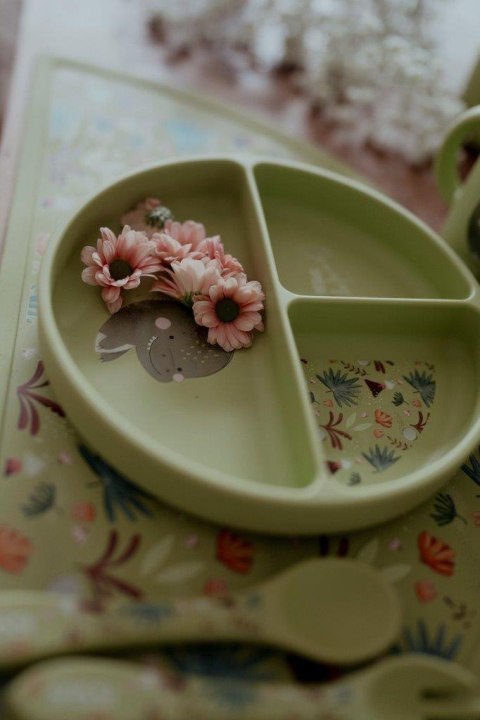 Talerz silikonowy z przyssawką Dinozaur SASSI