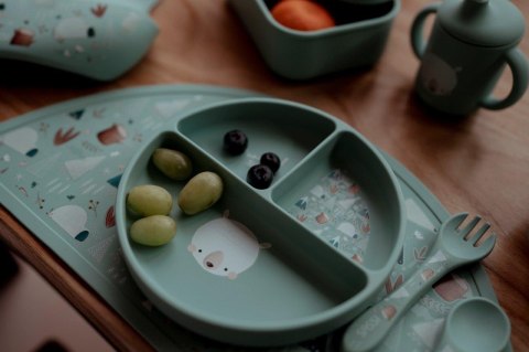 Talerz silikonowy z przyssawką Miś SASSI