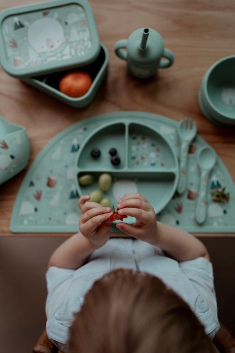 Talerz silikonowy z przyssawką Miś SASSI