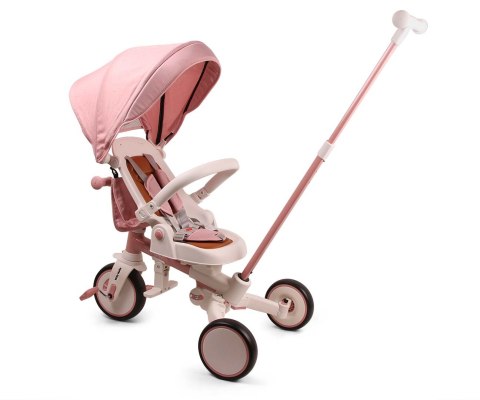Milly Mally Rowerek Trójkołowy Zippy Pink