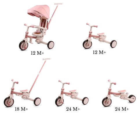 Milly Mally Rowerek Trójkołowy Zippy Pink