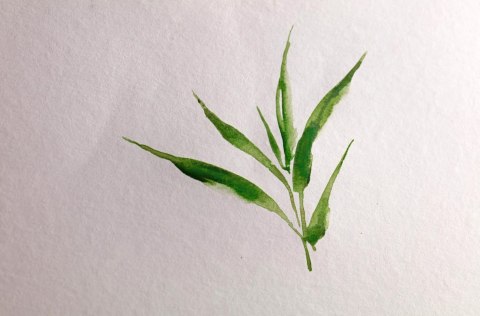 Szkicownik akwarelowy Bambusowy 21x16 cm