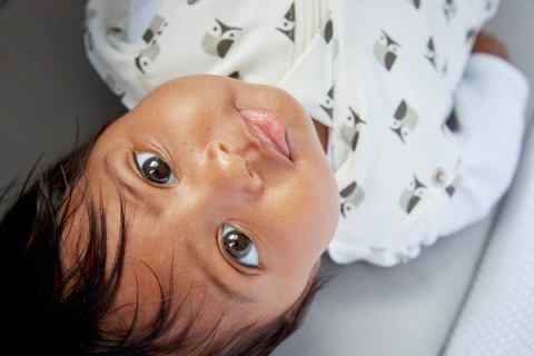 Otulacz-śpiworek Grosnug Orla Kiely Owls, Gro Company