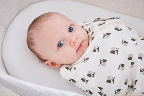 Otulacz-śpiworek Grosnug Orla Kiely Owls, Gro Company