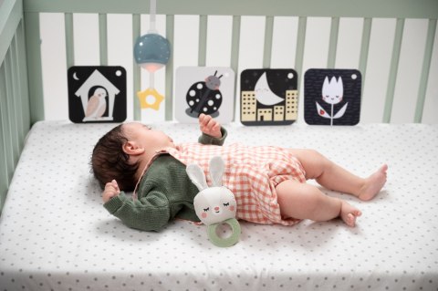 Zestaw na Dobranoc Taf Toys - 12 Elementów Wspierających Spokojny Sen Maluszka