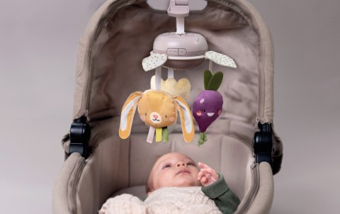 Muzyczna Karuzela "Garden" z Kolekcji Urban Garden - Taf Toys