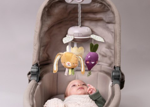 Muzyczna Karuzela "Garden" z Kolekcji Urban Garden - Taf Toys