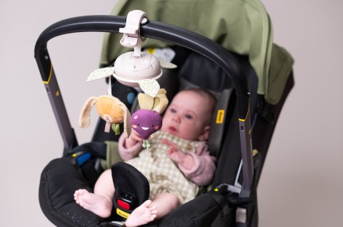 Muzyczna Karuzela "Garden" z Kolekcji Urban Garden - Taf Toys