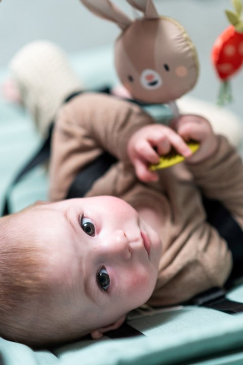 Muzyczny Pałąk z Króliczkiem - Zabawa i Rozwój w Podróży