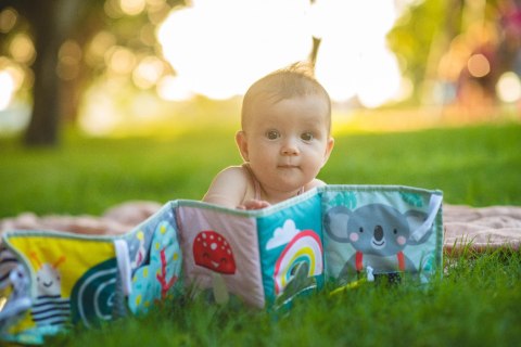 Taf Toys - Dwustronna Książeczka Sensoryczna „Koalowe Marzenia"