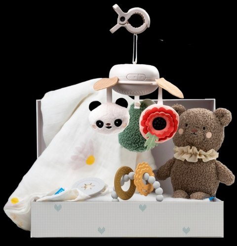 Taf Toys Ekskluzywny Zestaw Prezentowy dla Noworodka