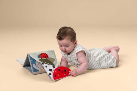 Taf Toys Książeczka Sensoryczna do Zabawy na Brzuszku Króliczek