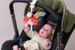 Taf Toys Pozytywka Garden Biedronka - Zabawka Muzyczna z Melodiami i Białym Szumem