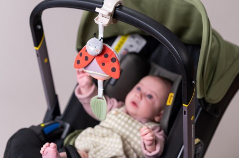 Taf Toys Pozytywka Garden Biedronka - Zabawka Muzyczna z Melodiami i Białym Szumem