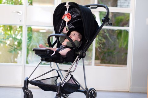 Taf Toys Pozytywka Garden Biedronka - Zabawka Muzyczna z Melodiami i Białym Szumem