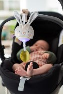 Taf Toys Pozytywka Garden Królik - Zabawka Muzyczna z Melodiami i Białym Szumem