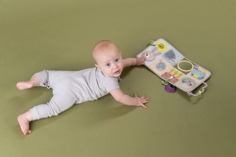 Taf Toys Urban Garden - Plac Zabaw do Łóżeczka z Muzyką i Światłem