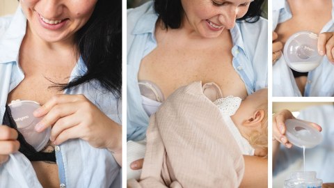 B.O.1468 Muszle laktacyjne kolektory mleka