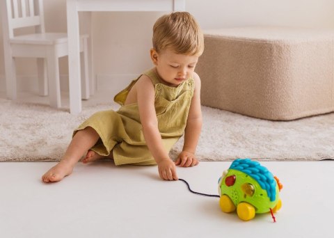 DUMEL DD 54902 Odjazdowy Jeżyk