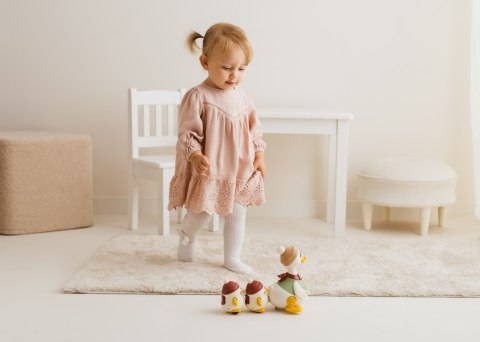 DUMEL DD 30840 Kaczka Monika z maluchami