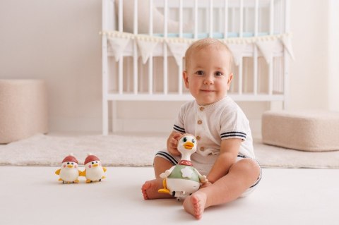 DUMEL DD 30840 Kaczka Monika z maluchami