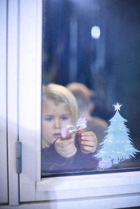 Filibabba Naklejki na okno Forest friends