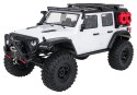 Auto R/C WILDERNESS RTR 1:10 Biały
