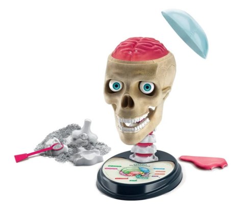 Clementoni Naukowa Zabawa Lab 50697 Zwariowana Anatomia