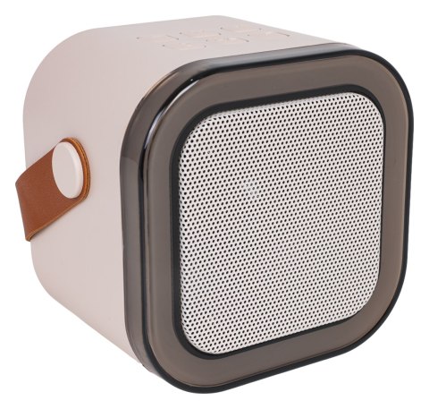 Zestaw Karaoke Mikrofon i Głośnik