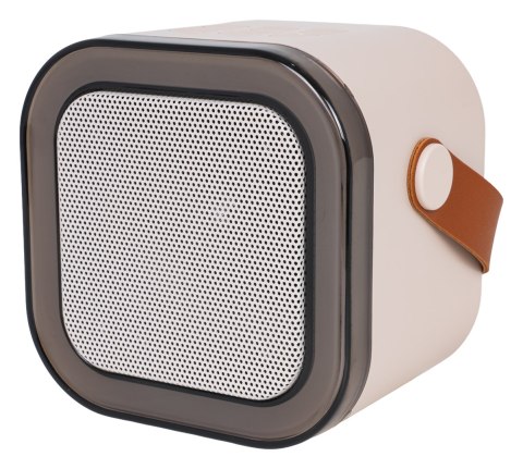 Zestaw Karaoke Mikrofon i Głośnik