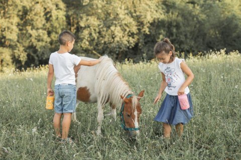 Termos obiadowy dla dzieci 350ml Lew SASSI