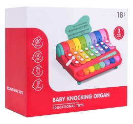 Cymbałki dla Najmłodszych