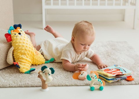 JOLLYBABY JB 82599 Zestaw prezentowy zwierzaki