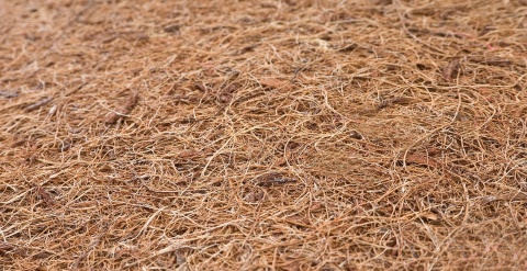 Sensillo Materac Kokos-Pianka-Kokos LUXE 120 60 cm ALOE VERA (11cm)